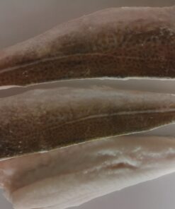 Atlantic Cod Fillets