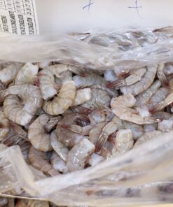 Whiteleg Shrimps