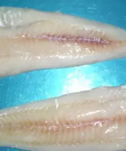 Alaska Pollock Fillets