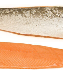 Salmon Fillet Trim E